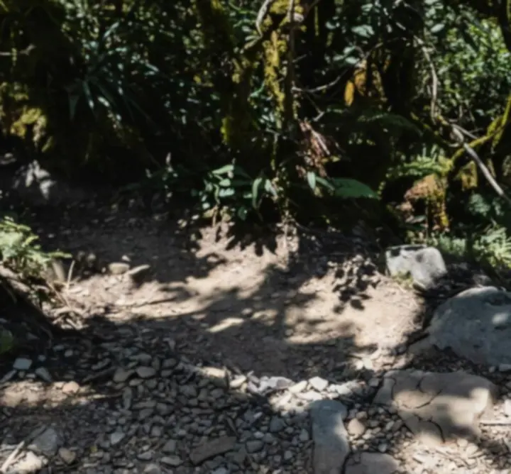 Pielki trekkingowe w akcji na górzystym terenie